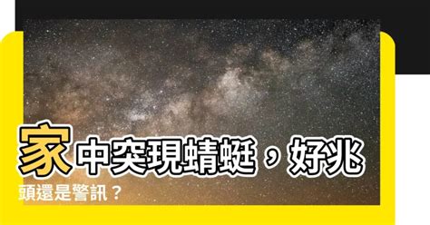 蜻蜓飛進來|【家裡出現蜻蜓代表什麼】家中突現蜻蜓，好兆頭還是警訊？